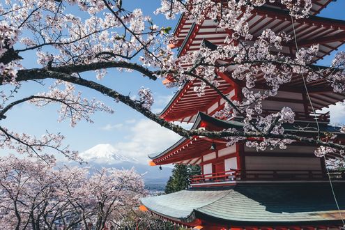 Обои на рабочий стол Пятиярусная пагода храма Senso-ji среди цветущей сакуры, вдалеке гора Фудзияма / Fuji, Япония / Japan, фотограф Takashi Yasui