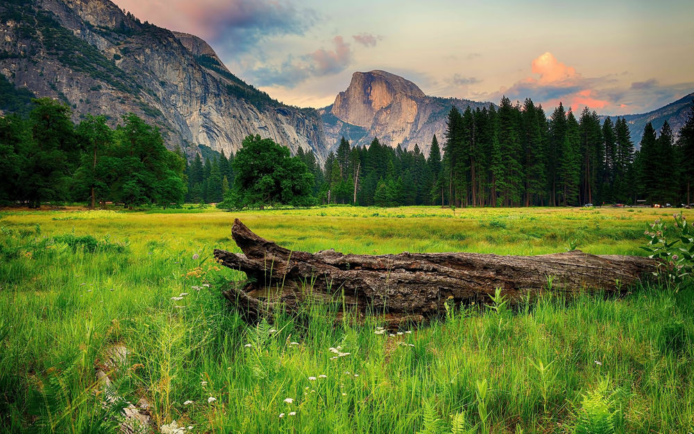 Обои для рабочего стола Отдых на природе в национальном парке Yosemite (США)