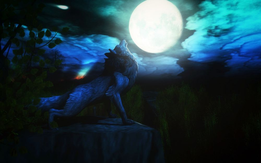 Обои для рабочего стола Серый волк стоящий на краю скалы воет на луну