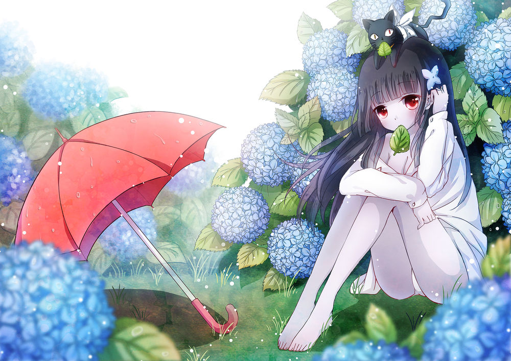 Обои для рабочего стола Sanka Rea / Санка Рэа с котиком Баабу / Baabu на голове, сидит на траве возле красного зонта среди цветущей гортензии, персонажи из аниме Санкарея / Sankarea