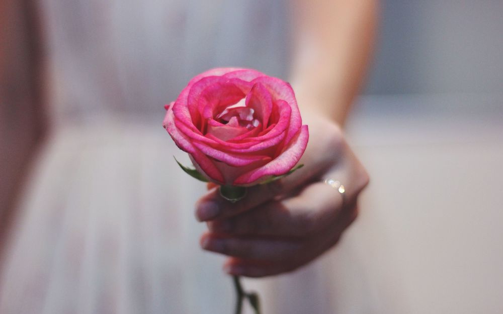 Обои для рабочего стола Девушка держит в руке розовую розу с кольцом
