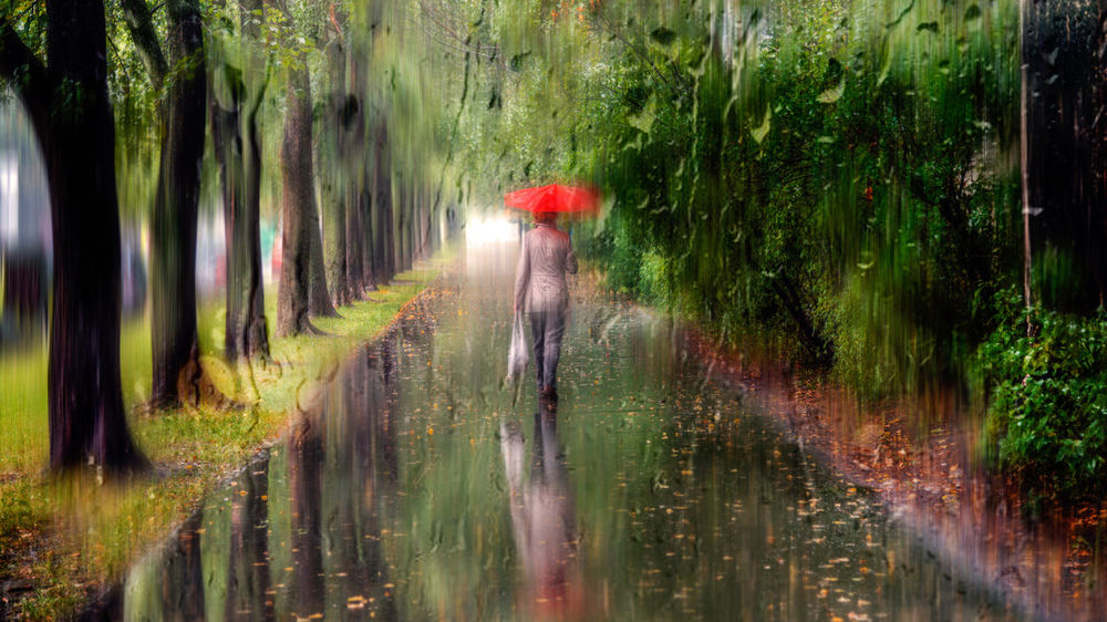 Обои для рабочего стола Женщина с красным зонтом идет по дождливой улице, вид через стекло