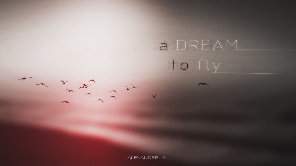 Обои для рабочего стола Фраза A Dream to fly / Мечта летать на фоне птиц в пасмурном небе, by Alexander Y