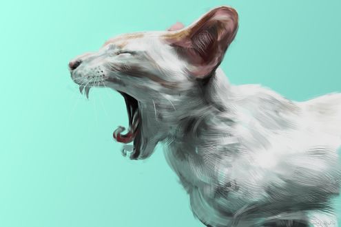 Обои на рабочий стол Зевающая в профиль белая кошка на зеленом фоне, by speedy-painter
