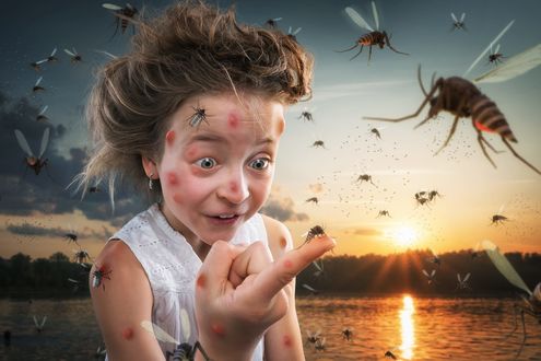 Обои на рабочий стол Девочка удивленно смотрит на комарика на пальце, фотограф John Wilhelm