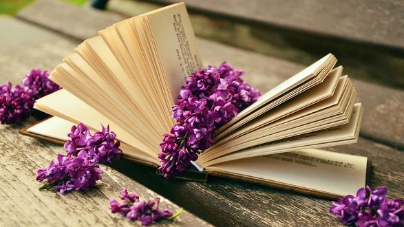 Обои на рабочий стол Веточка сирени лежит на книге