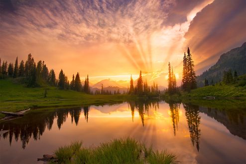 Обои на рабочий стол Mount Rainier National Park / Маунт-Рейнир в Национальном парке США, фотограф Quan Yuan