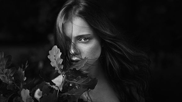 Обои на рабочий стол Девушка Катя с веткой, фотограф Георгий Чернядьев