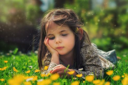 Обои на рабочий стол Девочка лежит на поляне одуванчиков, фотограф John Wilhelm