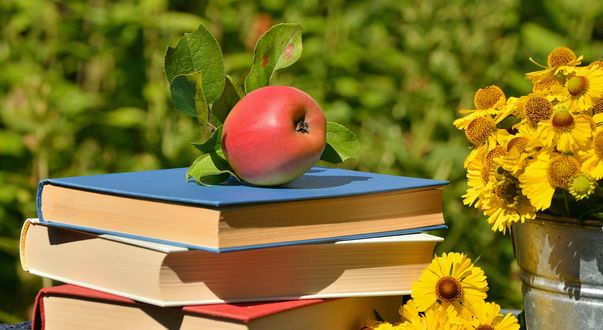 Обои на рабочий стол Желтые цветы в ведерке и красное яблоко на стопке книг, размытый фон