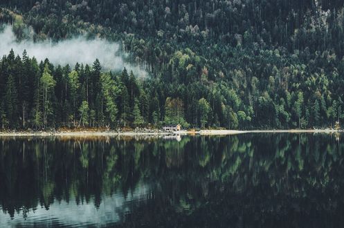 Обои на рабочий стол Лес и его отражение в озере, фотограф Daniel Casson