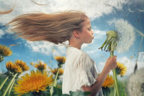 Обои на рабочий стол Девочка дует на одуванчик, фотограф John Wilhelm