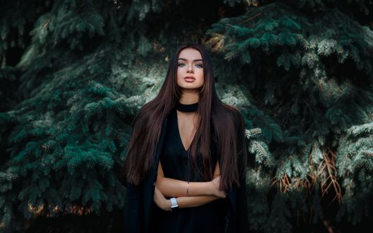 Обои на рабочий стол Темноволосая модель Екатерина с голубыми глазами в черном платье стоит на фоне большой разлапистой ели, фотограф Hakan Erenler