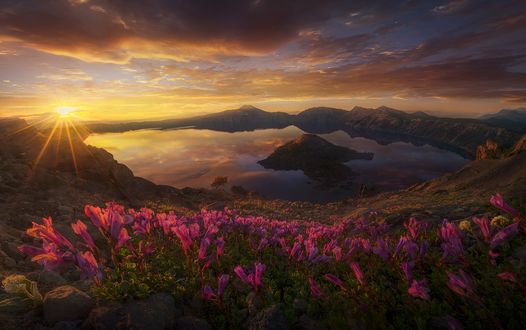 Обои на рабочий стол Солнце освещает озеро и цветы перед ним, фотограф Marc Adamus