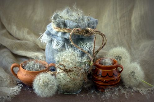 Обои на рабочий стол Отцветшие одуванчики на столе, пух в посуде и в мешочке, фотограф Sonata Zemgulienе