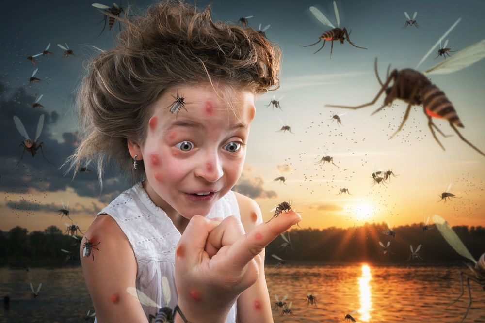 Обои для рабочего стола Девочка удивленно смотрит на комарика на пальце, фотограф John Wilhelm