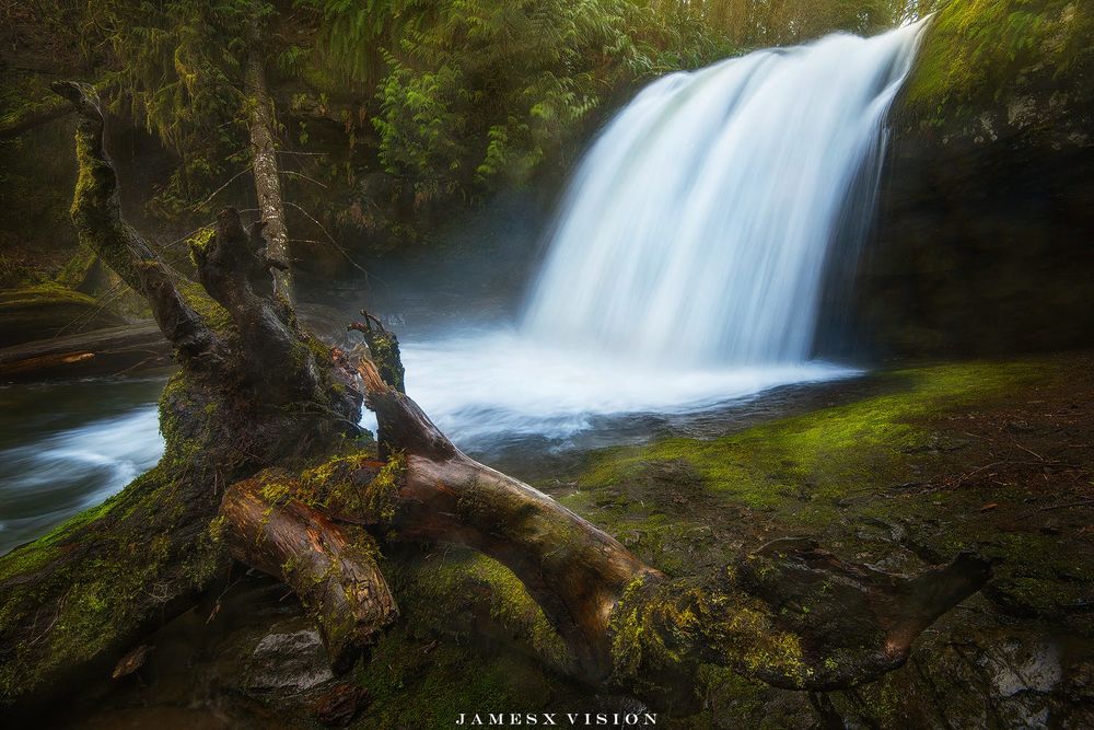 Обои для рабочего стола Водопад в лесу на острове Vancouver / Ванкувер, фотограф James Xiang