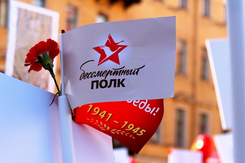 Обои для рабочего стола День победы, флаг и гвоздика в честь памяти о Великой Отечественной войне 1941-1945, Бессмертный полк, фотограф Olga Myakotina