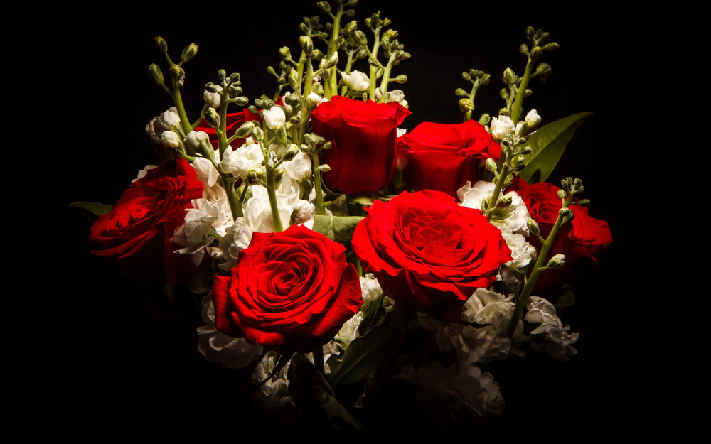 Обои для рабочего стола Букет красных роз и белых левкоев на черном фоне