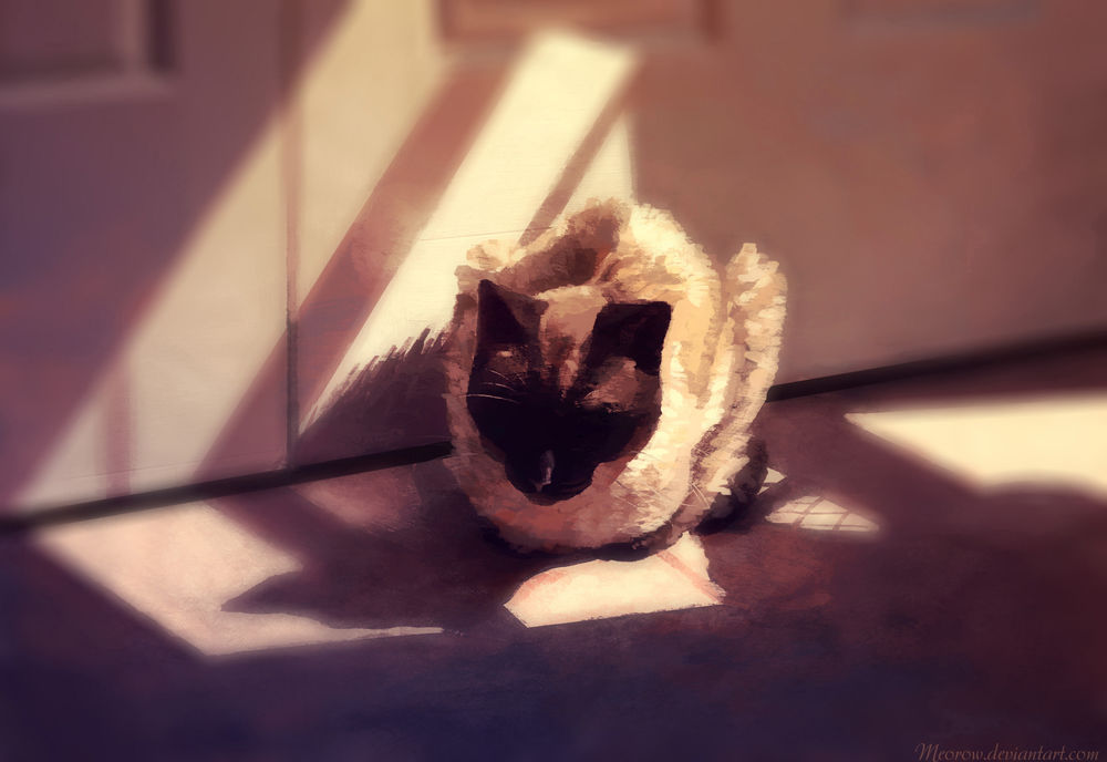 Обои для рабочего стола Сиамская кошка спит на полу, by Meorow