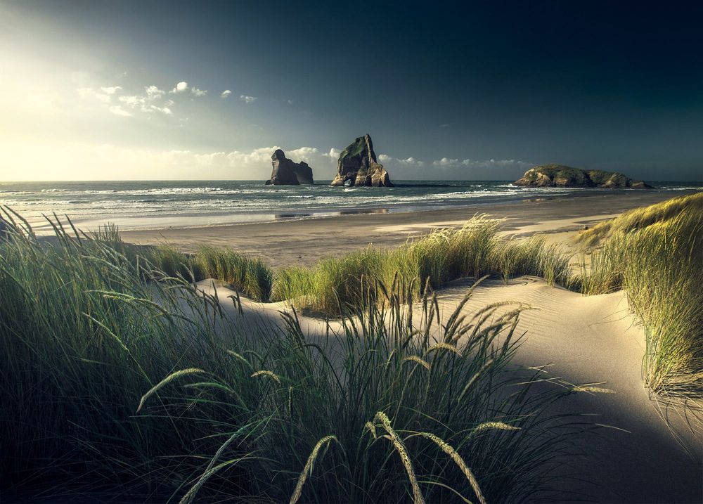 Обои для рабочего стола На пляже, New Zealand / Новая Зеландия, фотограф Max Rive