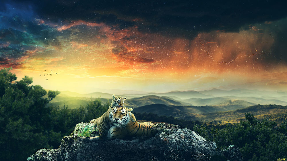 Обои для рабочего стола Тигры лежат на камне на фоне неба, by FantasyArt0102