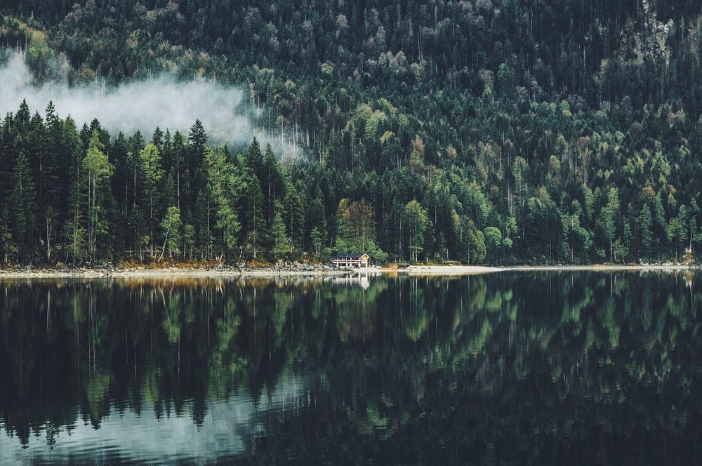 Обои для рабочего стола Лес и его отражение в озере, фотограф Daniel Casson
