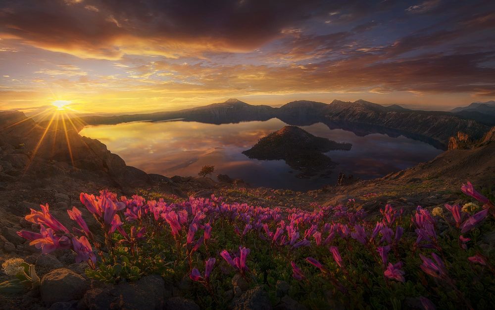 Обои для рабочего стола Солнце освещает озеро и цветы перед ним, фотограф Marc Adamus