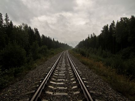 Обои на рабочий стол Железная дорога среди леса