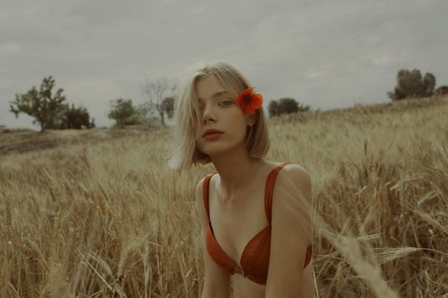 Обои на рабочий стол Девушка Ольга с маком в волосах сидит на поле, фотограф Marta Bevacqua