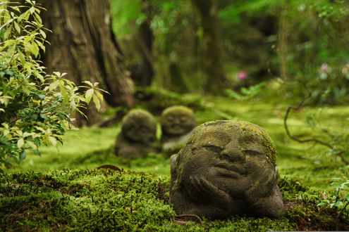 Обои на рабочий стол Скульптуры древних божеств поросших мхом, Sanzen in temple Ohara, Kyoto / Киото, Japan / Япония