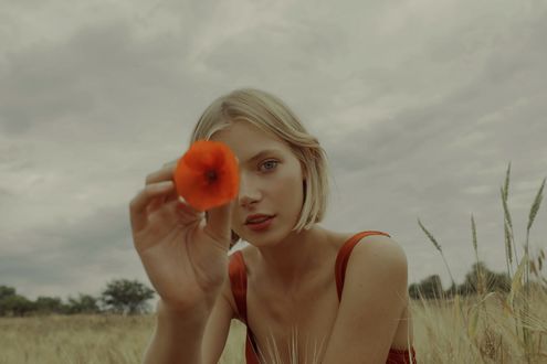 Обои на рабочий стол Девушка с маком в руке, фотограф Marta Bevacqua