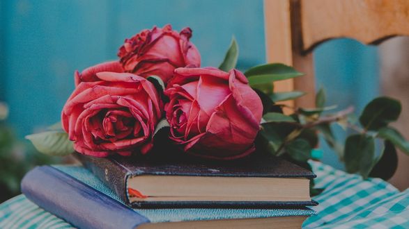Обои на рабочий стол Красные розы лежат на книгах
