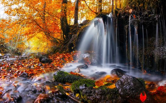 Обои на рабочий стол Маленький водопад в осеннем лесу, фотограф Adrian Borda