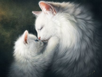 Обои на рабочий стол Белый котенок с кошкой-мамой, by AlenaEkaterinburg