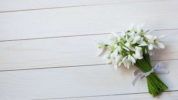 Обои на рабочий стол Букет подснежников на полу