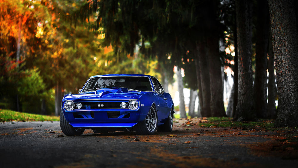 Обои для рабочего стола Синий автомобиль Chevrolet Camaro SS 1969 в парке