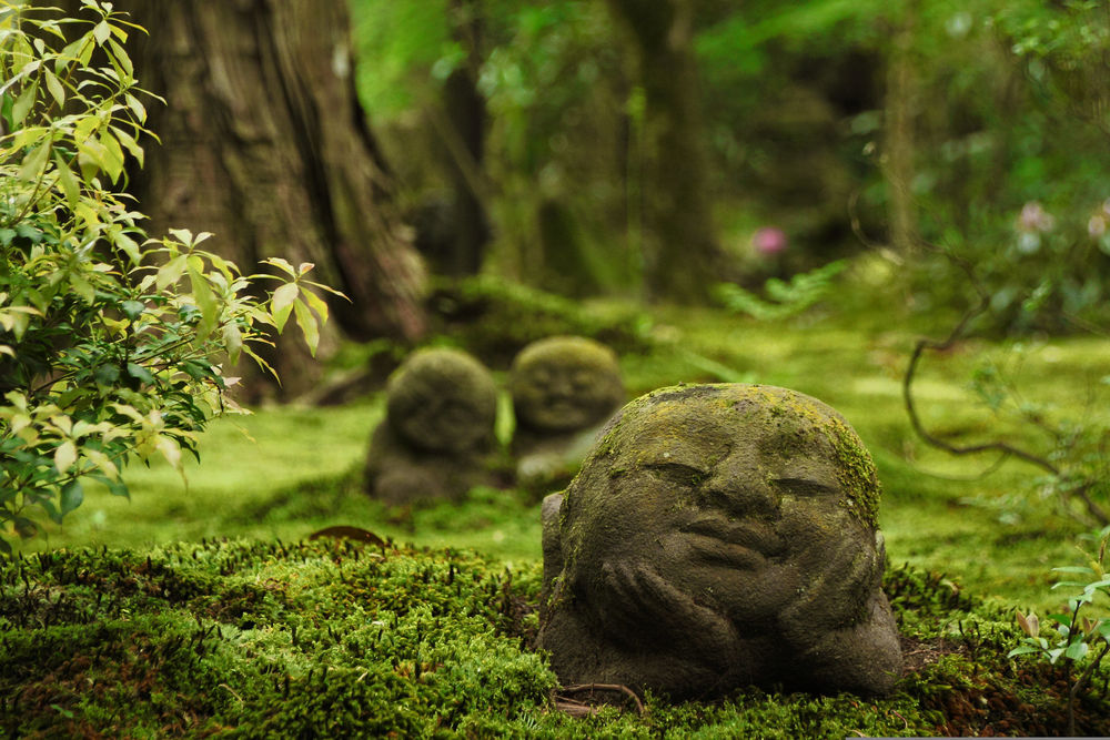 Обои для рабочего стола Скульптуры древних божеств поросших мхом, Sanzen in temple Ohara, Kyoto / Киото, Japan / Япония