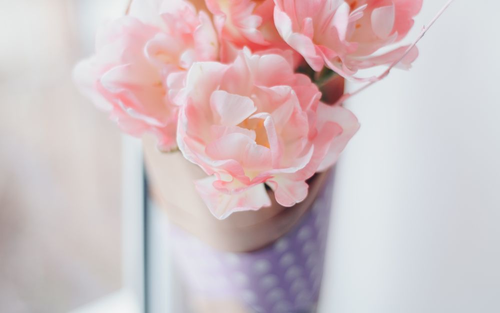 Обои для рабочего стола Нежно розовые тюльпаны в вазе, крупный план