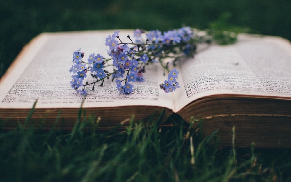 Обои для рабочего стола Букетик голубых незабудок лежит на открытой книге