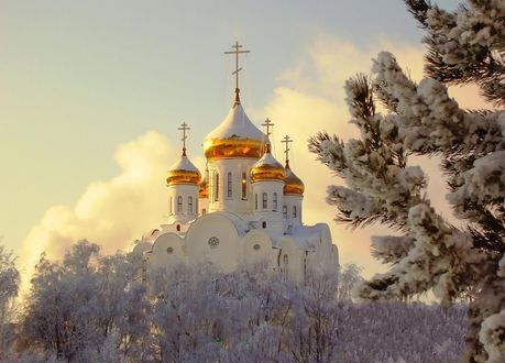 Обои на рабочий стол Заснеженные деревья, белая церковь с золотыми куполами на фоне неба