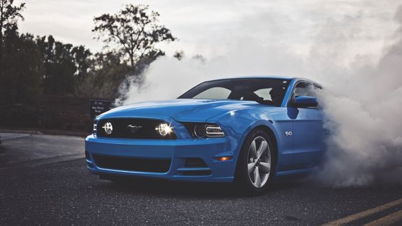 Обои на рабочий стол Ford mustang shelby gt 500 дрифтует на месте
