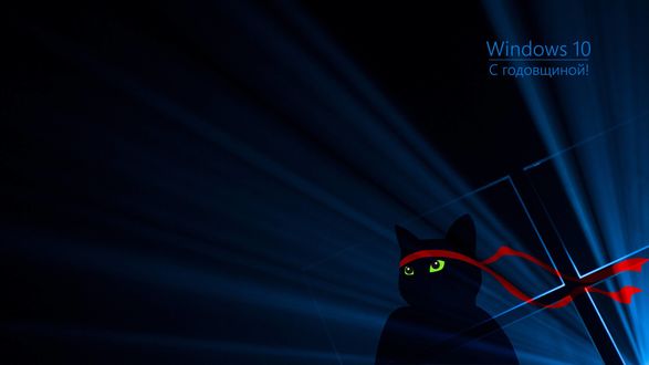 Обои на рабочий стол Обои с логотипом windows 10 и котом-самураем (с годовщиной)