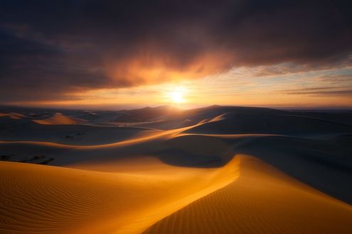Обои на рабочий стол Яркое солнце над песками, фотограф Doug Shearer