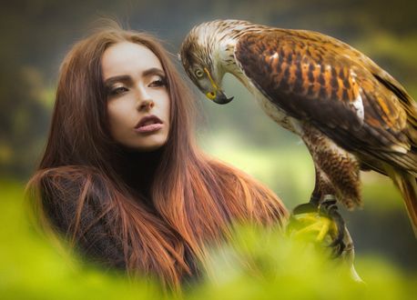 Обои на рабочий стол Девушка с ястребом, фотограф Joachim Bergauer