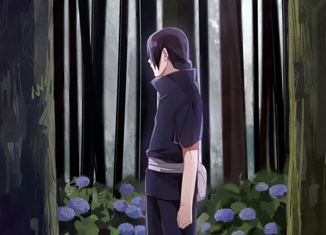 Обои на рабочий стол Итачи Учиха / Itachi Uchiha стоит в среди деревьев и цветущей гортензии из аниме Наруто / Naruto, art by Masashi Kishimoto