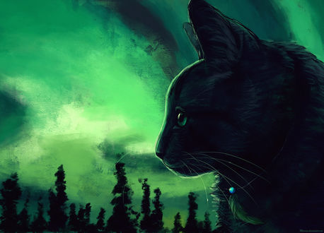 Обои на рабочий стол Профиль кота на фоне облачного неба, by Meorow