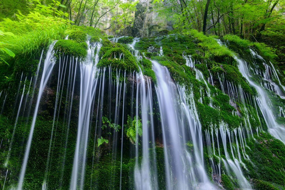 Обои для рабочего стола Лесные водопады, фотограф Hiroshi Ohyama