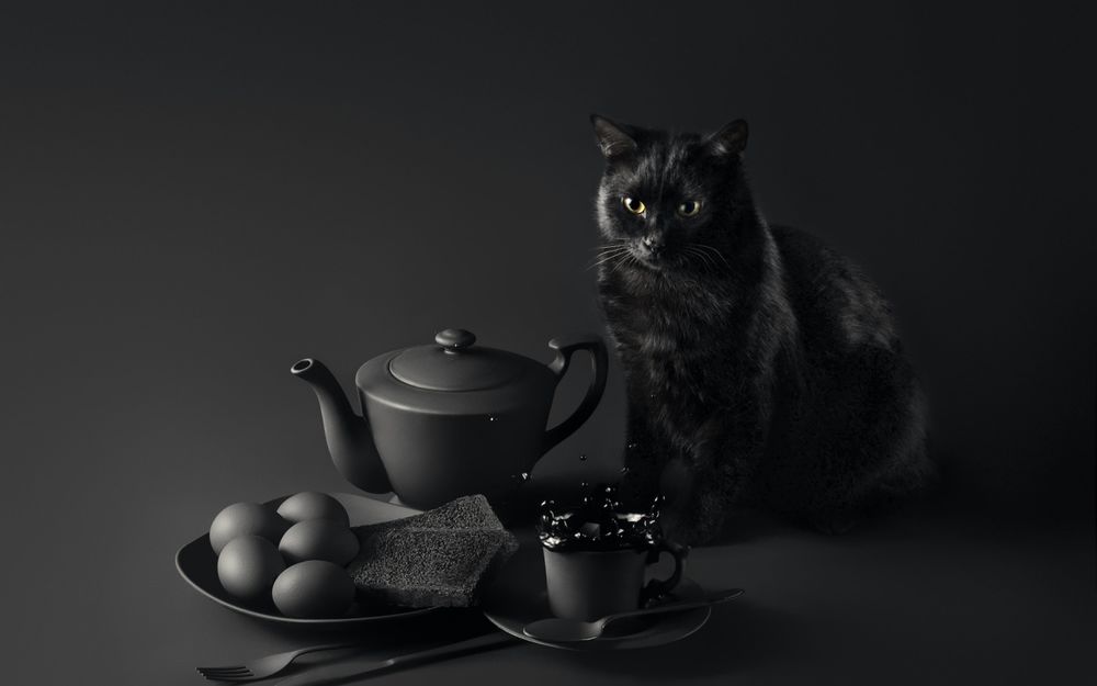 Обои для рабочего стола Черный кот сидит на столе с завтраком, фотограф Sanket Khuntale