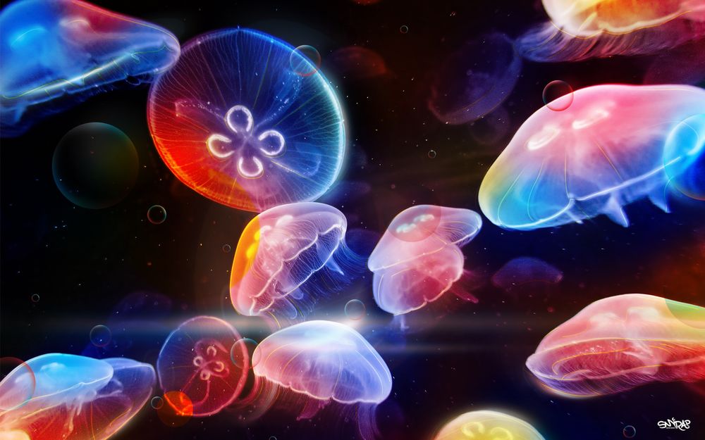 Обои для рабочего стола Плавающие разноцветные медузы на черном фоне с пузырьками